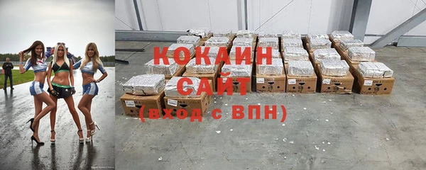дживик Арсеньев